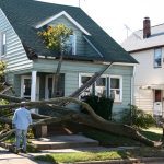 Damaged House From Tree