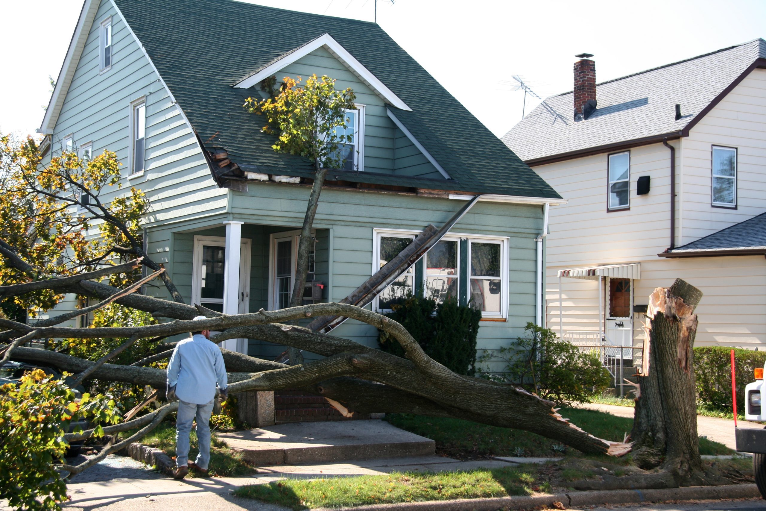Damaged House From Tree