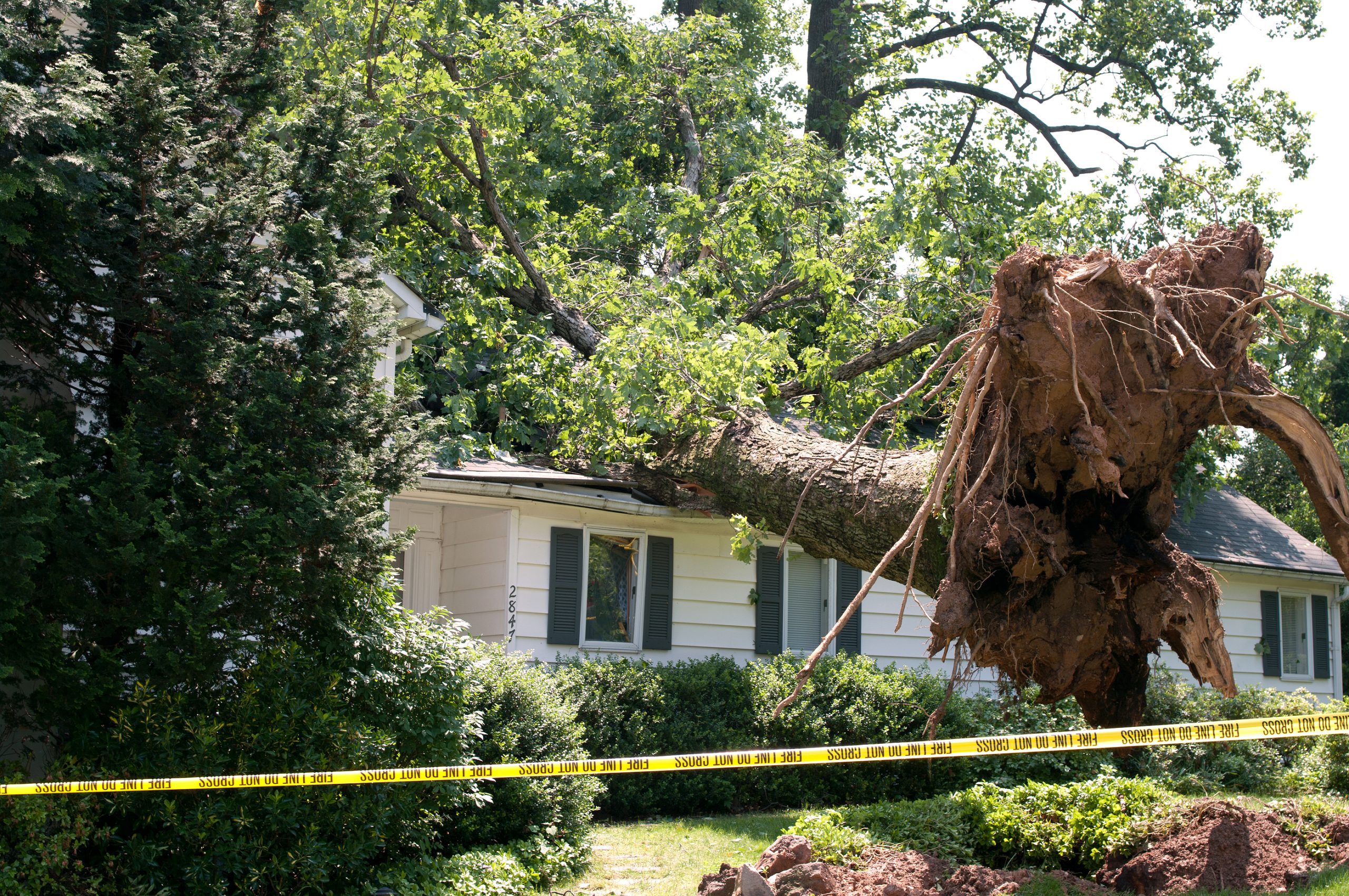 Uprooted Tree Damages Home