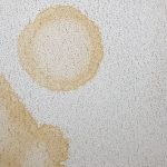 florida public insurance adjuster