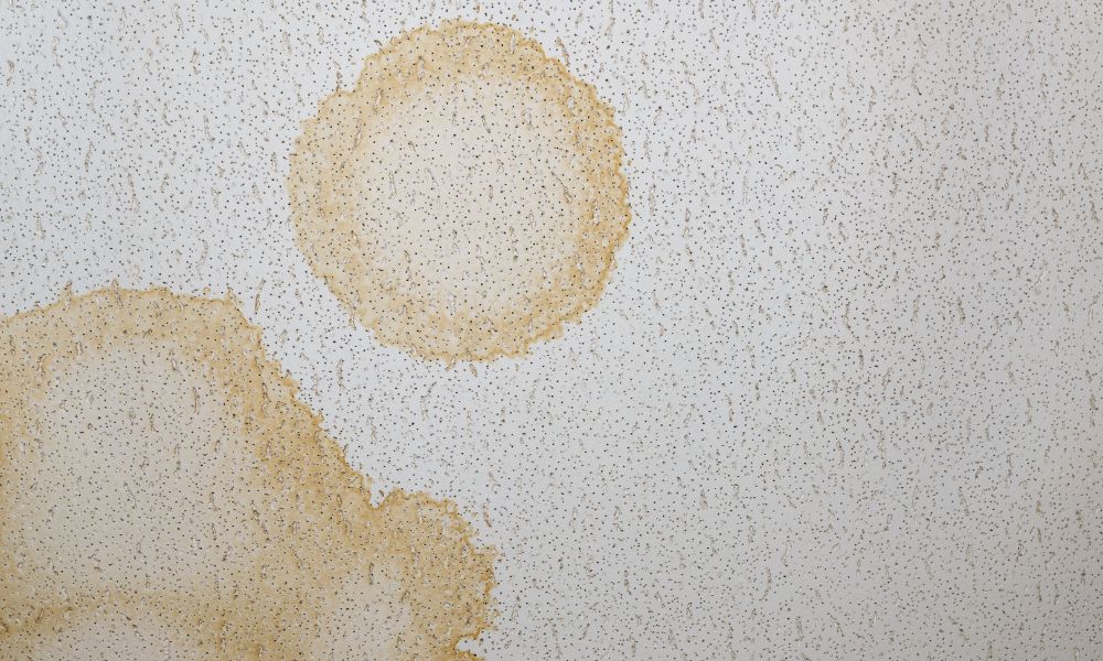 florida public insurance adjuster